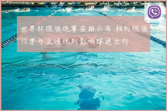 世界杯现场观赛安排公布 相约现场门票与交通规则影响球迷出行