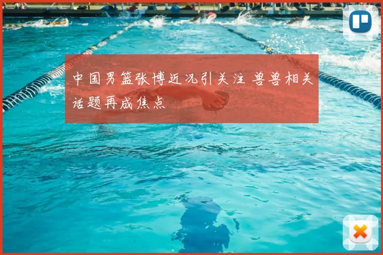 中国男篮张博近况引关注 兽兽相关话题再成焦点