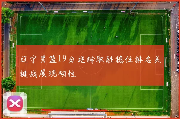 辽宁男篮19分逆转取胜稳住排名关键战展现韧性