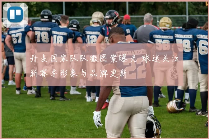 丹麦国家队队徽图案曝光 球迷关注新赛季形象与品牌更新