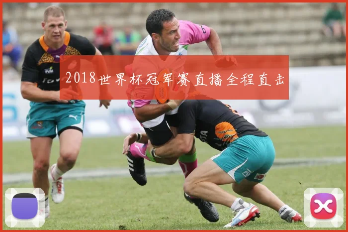 2018世界杯冠军赛直播全程直击
