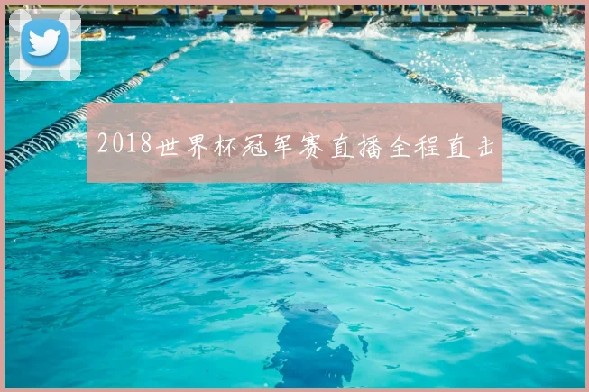 2018世界杯冠军赛直播全程直击