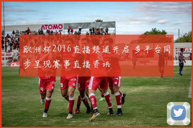 欧洲杯2016直播频道开启 多平台同步呈现赛事直播资讯