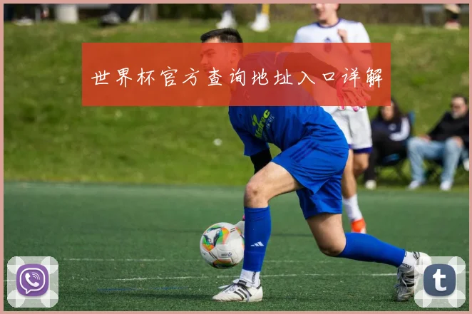世界杯官方查询地址入口详解